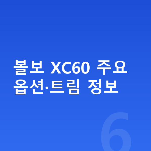볼보 XC60 옵션 볼보 XC60 주요 옵션·트림 정보