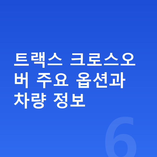쉐보레 트랙스 크로스오버 옵션 트랙스 크로스오버 주요 옵션과 차량 정보