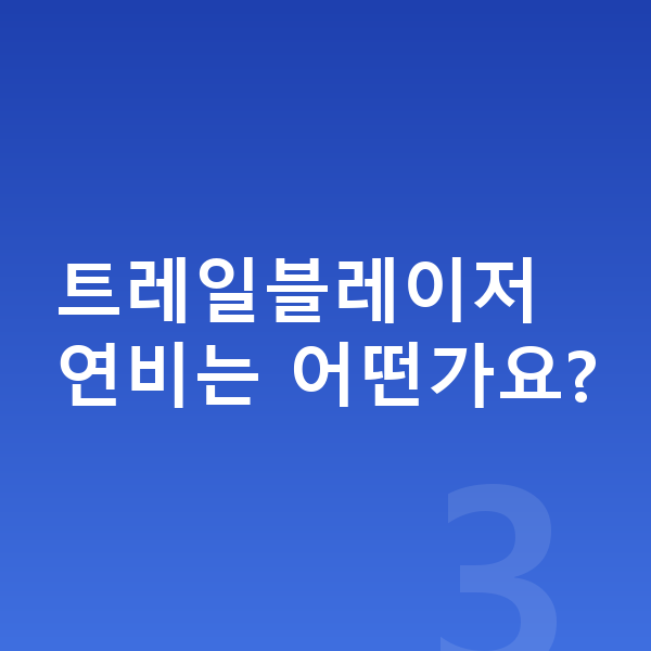 쉐보레 트레일블레이저 가격 트레일블레이저 연비는 어떤가요?