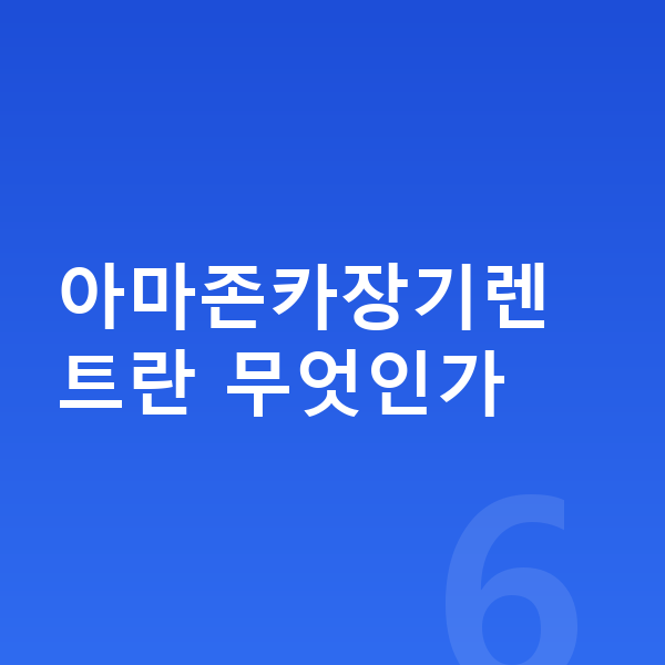 아마존카장기렌트 아마존카장기렌트란 무엇인가
