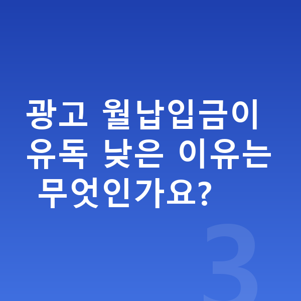 아우디 A3 장기렌트 월납입금 광고 월납입금이 유독 낮은 이유는 무엇인가요?