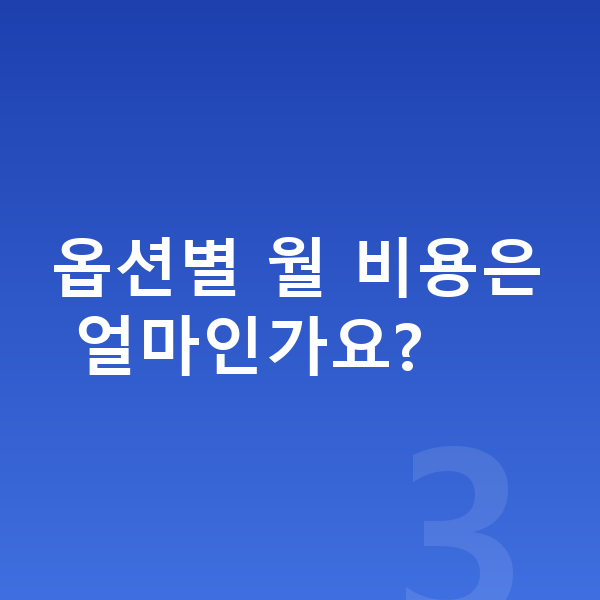 아우디 A8 옵션 옵션별 월 비용은 얼마인가요?
