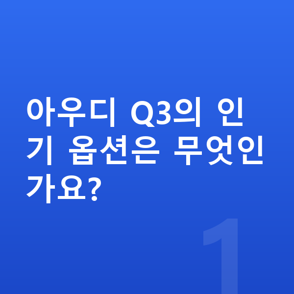 아우디 Q3 옵션 아우디 Q3의 인기 옵션은 무엇인가요?