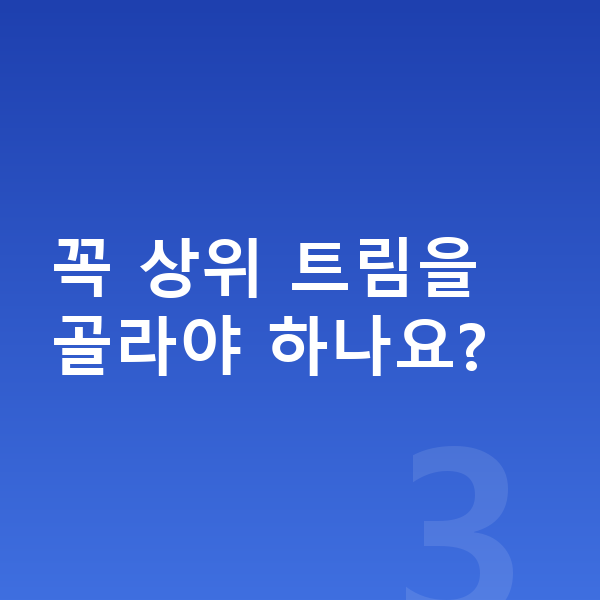 아우디 Q4 이트론 옵션 꼭 상위 트림을 골라야 하나요?