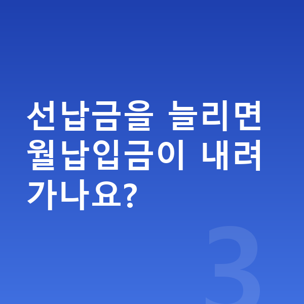 아우디 Q4 이트론 장기렌트 월납입금 선납금을 늘리면 월납입금이 내려가나요?