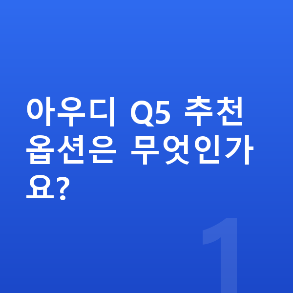 아우디 Q5 옵션 아우디 Q5 추천 옵션은 무엇인가요?