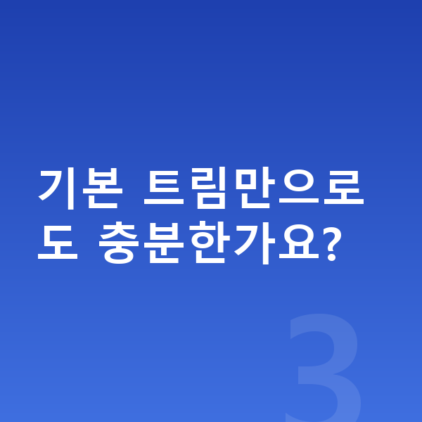 아우디 Q5 옵션 기본 트림만으로도 충분한가요?