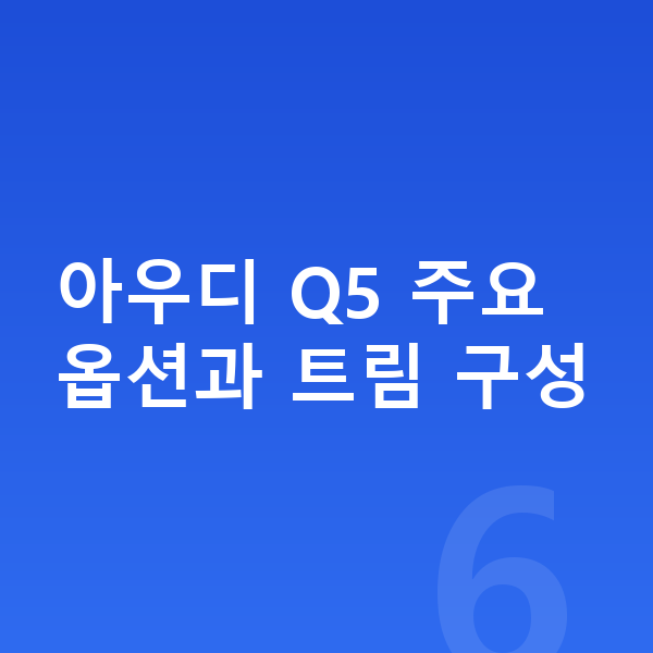 아우디 Q5 옵션 아우디 Q5 주요 옵션과 트림 구성