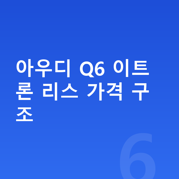 아우디 Q6 이트론 리스 가격 아우디 Q6 이트론 리스 가격 구조
