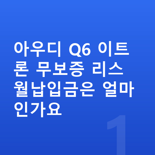 아우디 Q6 이트론 리스 무보증 아우디 Q6 이트론 무보증 리스 월납입금은 얼마인가요