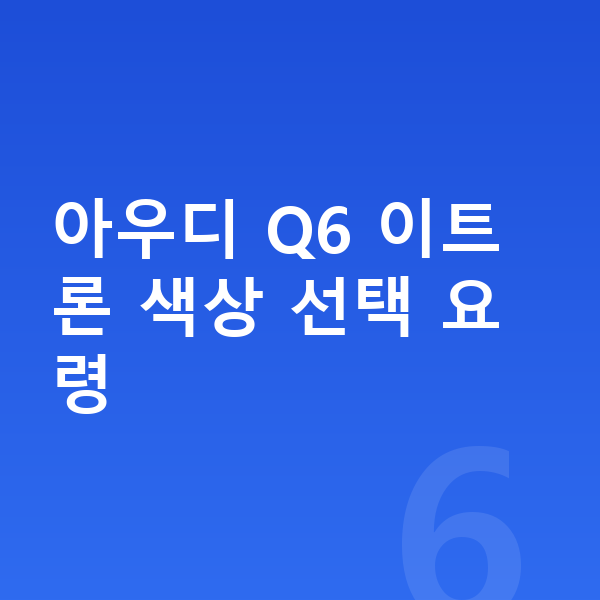 아우디 Q6 이트론 색상 아우디 Q6 이트론 색상 선택 요령