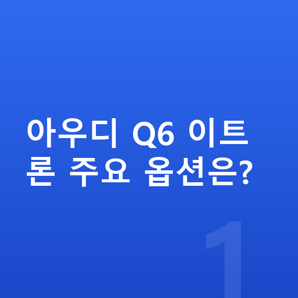 아우디 Q6 이트론 옵션 아우디 Q6 이트론 주요 옵션은?
