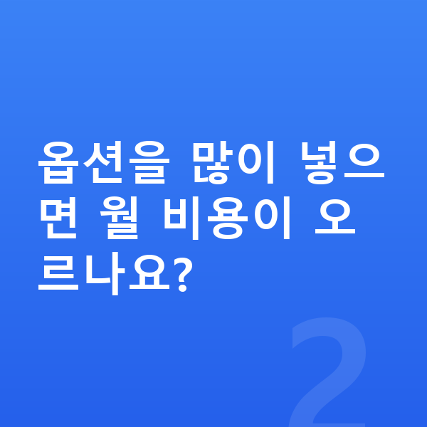 아우디 Q6 이트론 옵션 옵션을 많이 넣으면 월 비용이 오르나요?
