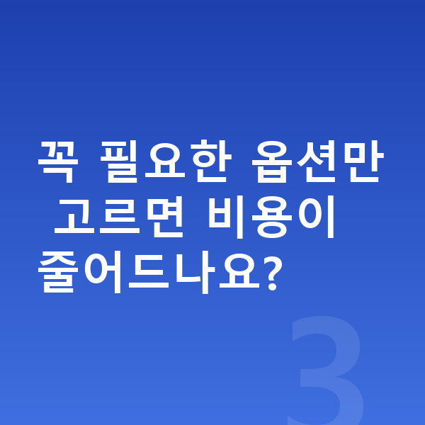 아우디 Q6 이트론 옵션 꼭 필요한 옵션만 고르면 비용이 줄어드나요?