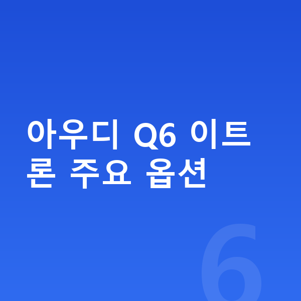 아우디 Q6 이트론 옵션 아우디 Q6 이트론 주요 옵션