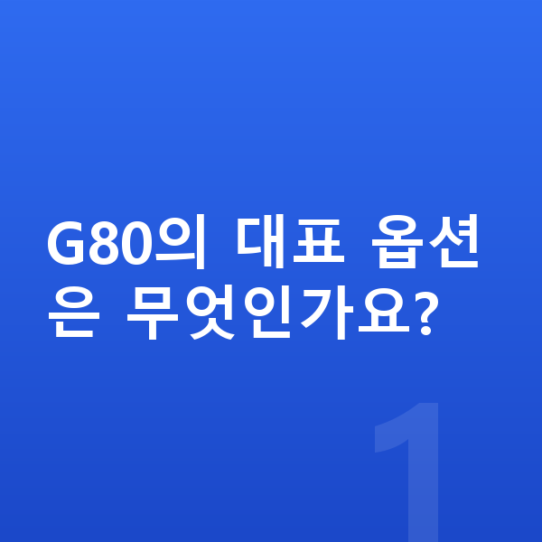 제네시스 G80 옵션 G80의 대표 옵션은 무엇인가요?