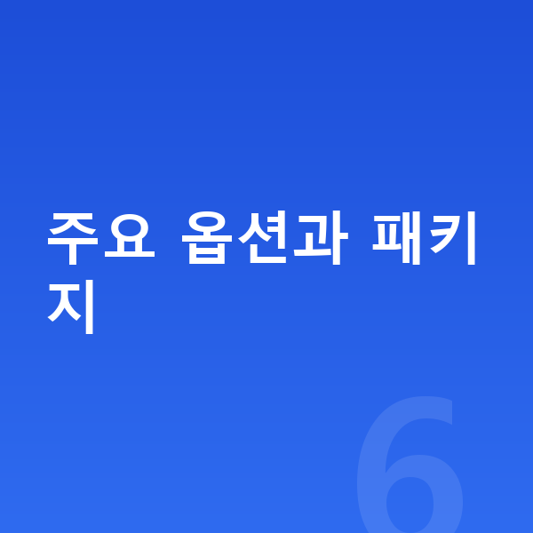 제네시스 G80 옵션 주요 옵션과 패키지