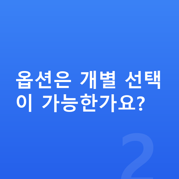 제네시스 G90 옵션 옵션은 개별 선택이 가능한가요?
