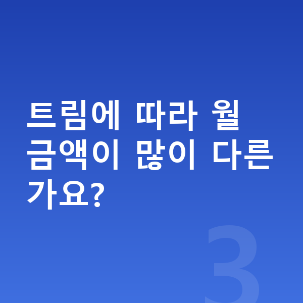 제네시스 GV60 제원 트림에 따라 월 금액이 많이 다른가요?