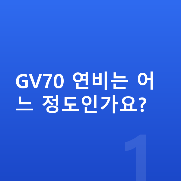 제네시스 GV70 연비 GV70 연비는 어느 정도인가요?