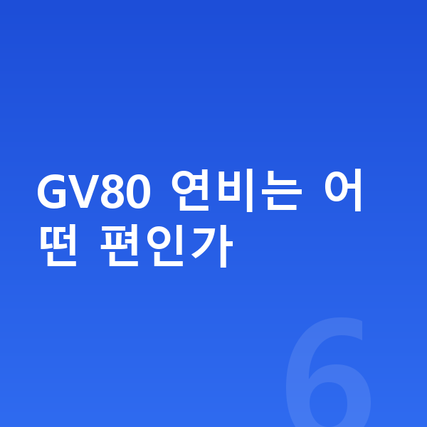 제네시스 GV80 연비 GV80 연비는 어떤 편인가