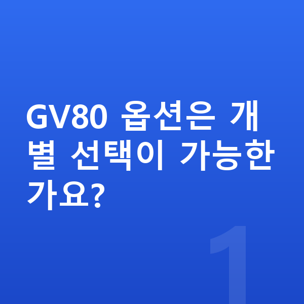 제네시스 GV80 옵션 GV80 옵션은 개별 선택이 가능한가요?