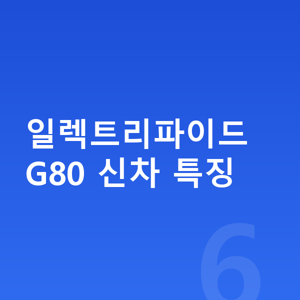 제네시스 일렉트리파이드 G80 신차 일렉트리파이드 G80 신차 특징