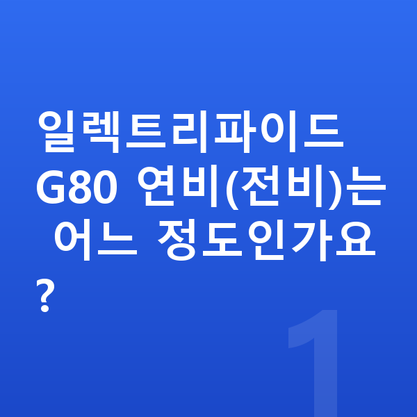 제네시스 일렉트리파이드 G80 연비 일렉트리파이드 G80 연비(전비)는 어느 정도인가요?