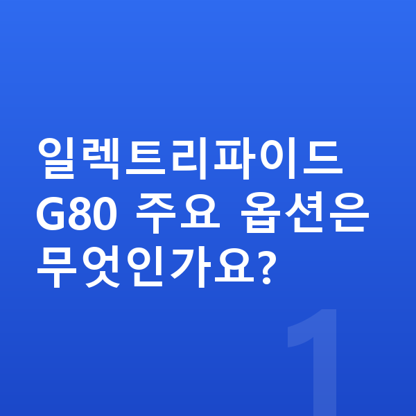 제네시스 일렉트리파이드 G80 옵션 일렉트리파이드 G80 주요 옵션은 무엇인가요?