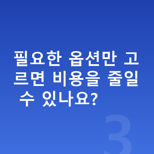 제네시스 일렉트리파이드 G80 옵션 필요한 옵션만 고르면 비용을 줄일 수 있나요?