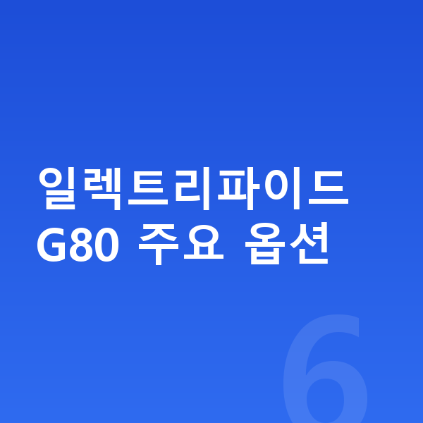 제네시스 일렉트리파이드 G80 옵션 일렉트리파이드 G80 주요 옵션