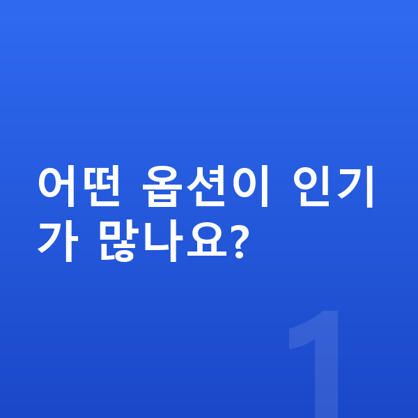 제네시스 일렉트리파이드 GV70 옵션 어떤 옵션이 인기가 많나요?