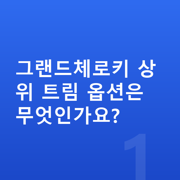 지프 그랜드체로키 옵션 그랜드체로키 상위 트림 옵션은 무엇인가요?