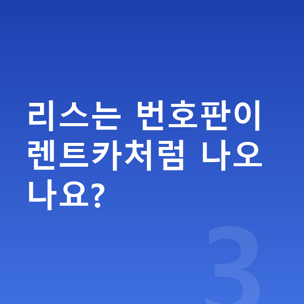 지프 랭글러 리스 리스는 번호판이 렌트카처럼 나오나요?