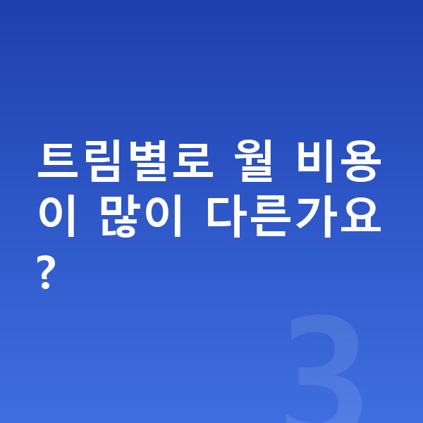 테슬라 모델3 가격 트림별로 월 비용이 많이 다른가요?