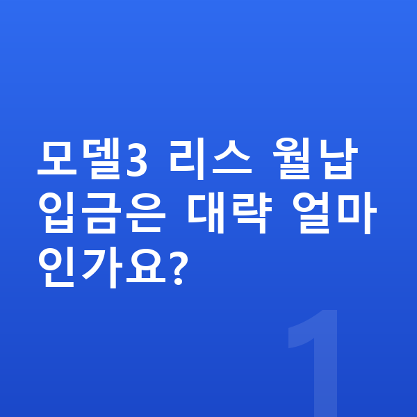 테슬라 모델3 리스 월납입금 모델3 리스 월납입금은 대략 얼마인가요?