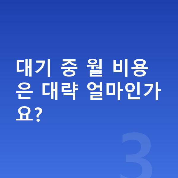 테슬라 모델3 리스 출고기간 대기 중 월 비용은 대략 얼마인가요?