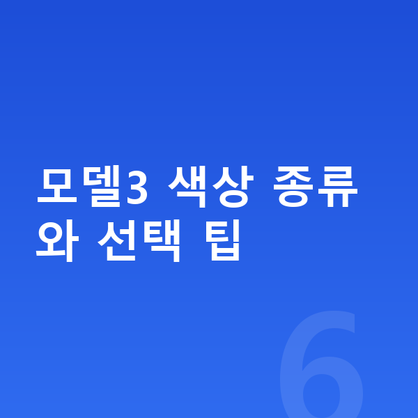 테슬라 모델3 색상 모델3 색상 종류와 선택 팁