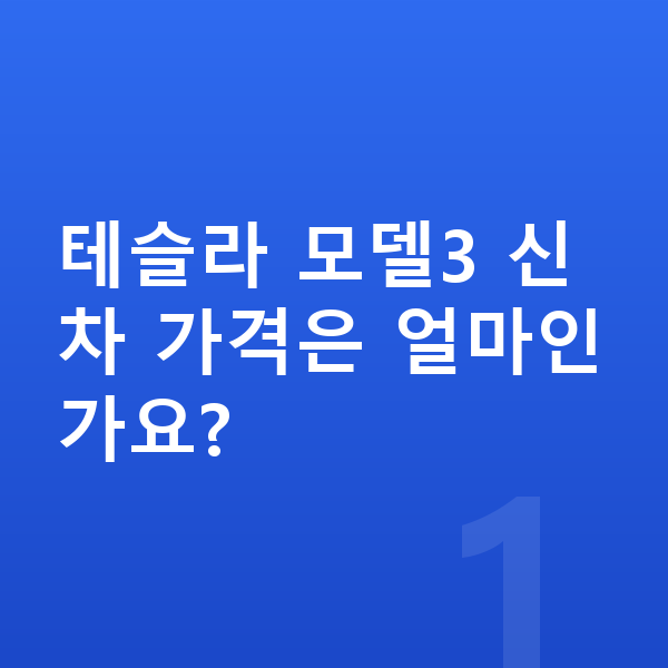 테슬라 모델3 신차 테슬라 모델3 신차 가격은 얼마인가요?