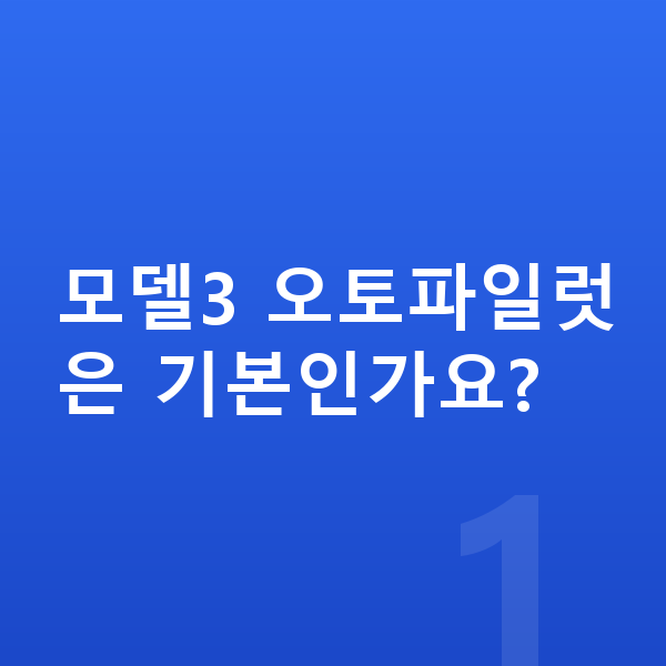 테슬라 모델3 옵션 모델3 오토파일럿은 기본인가요?