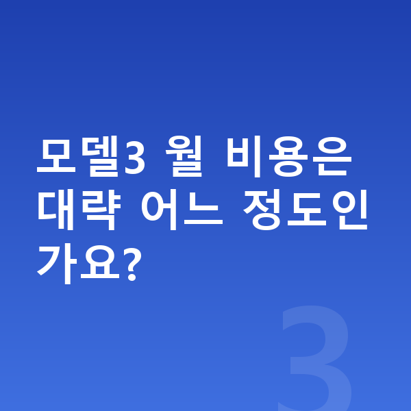 테슬라 모델3 옵션 모델3 월 비용은 대략 어느 정도인가요?