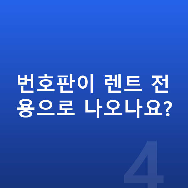 테슬라 모델3 장기렌트 번호판이 렌트 전용으로 나오나요?