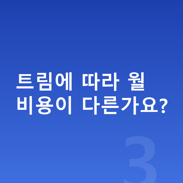 테슬라 모델3 제원 트림에 따라 월 비용이 다른가요?