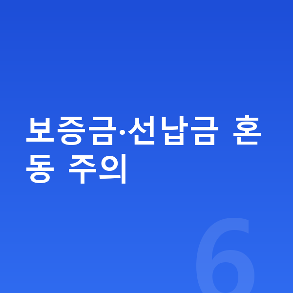 테슬라 모델Y 리스 보증금 보증금·선납금 혼동 주의