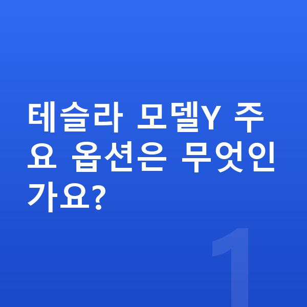 테슬라 모델Y 옵션 테슬라 모델Y 주요 옵션은 무엇인가요?