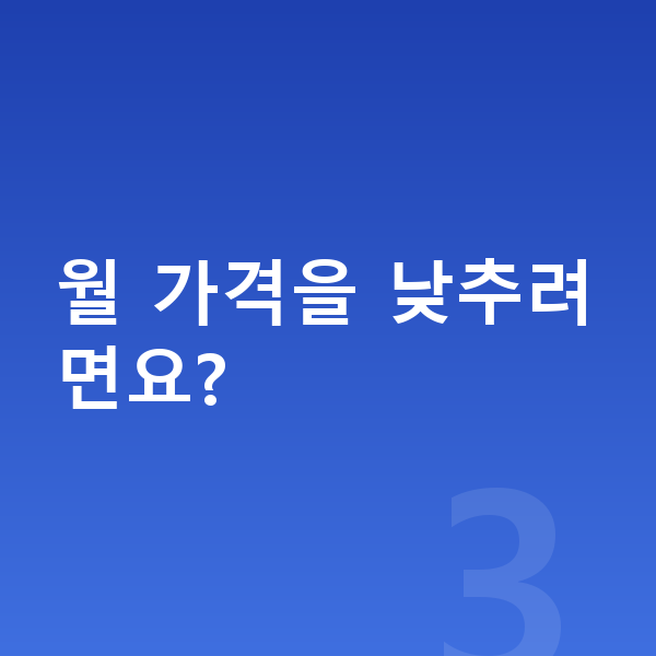 테슬라 모델Y 장기렌트 가격 월 가격을 낮추려면요?