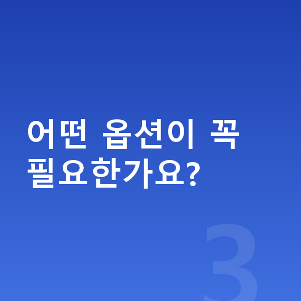 폴스타2 옵션 어떤 옵션이 꼭 필요한가요?