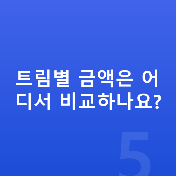 폴스타2 제원 트림별 금액은 어디서 비교하나요?
