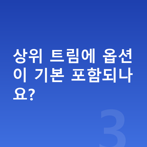 폴스타3 옵션 상위 트림에 옵션이 기본 포함되나요?