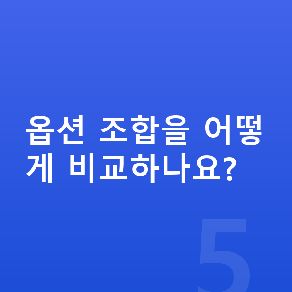 폴스타3 옵션 옵션 조합을 어떻게 비교하나요?